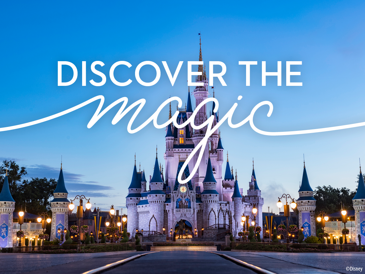 2021 Orlando Charters are Here – Boscov's Travel: Blog | Insider Travel